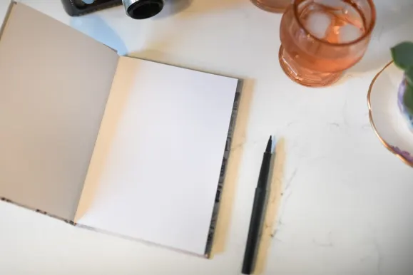 Bobby Casino Stuðningur